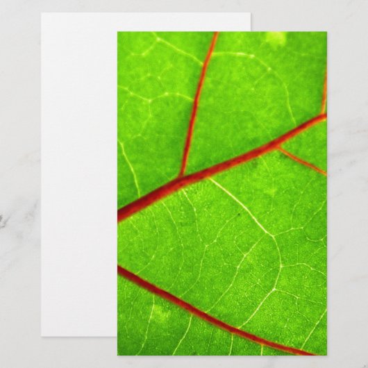 Thomas 1 briefpapier (Vorne/Hinten)