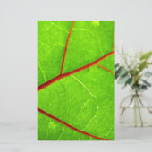 Thomas 1 briefpapier (Stehend Vorderseite)