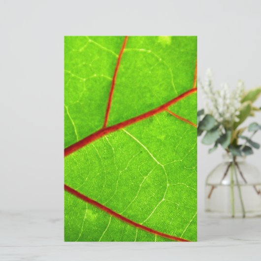 Thomas 1 briefpapier (Stehend Vorderseite)