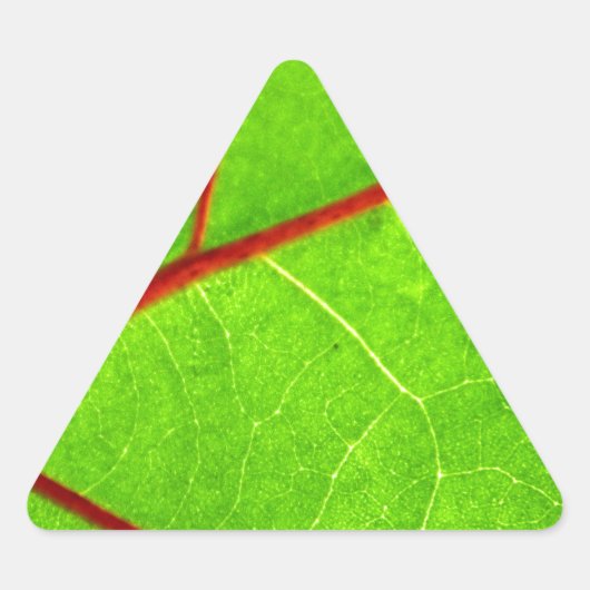 Thomas 1 dreieckiger aufkleber (Vorderseite)