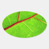 Thomas 1 ovaler aufkleber (Vorderseite)