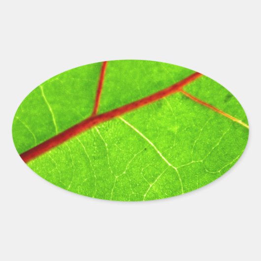 Thomas 1 ovaler aufkleber (Vorderseite)