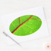 Thomas 1 ovaler aufkleber (Umschlag)