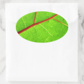 Thomas 1 ovaler aufkleber (Tasche)