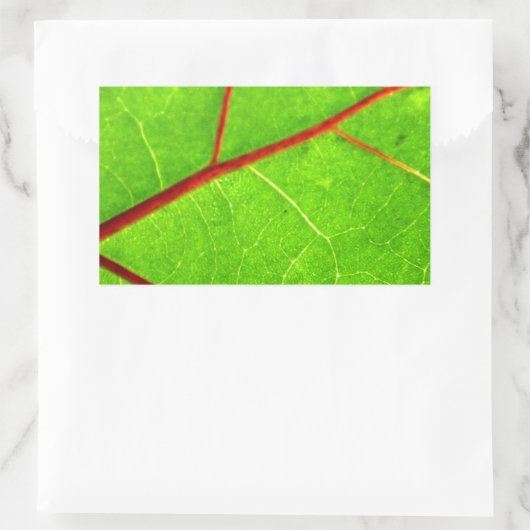 Thomas 1 rechteckiger aufkleber (Tasche)