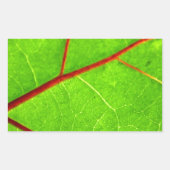 Thomas 1 rechteckiger aufkleber (Vorderseite)