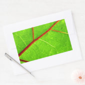 Thomas 1 rechteckiger aufkleber (Umschlag)