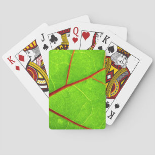 Thomas 1 spielkarten