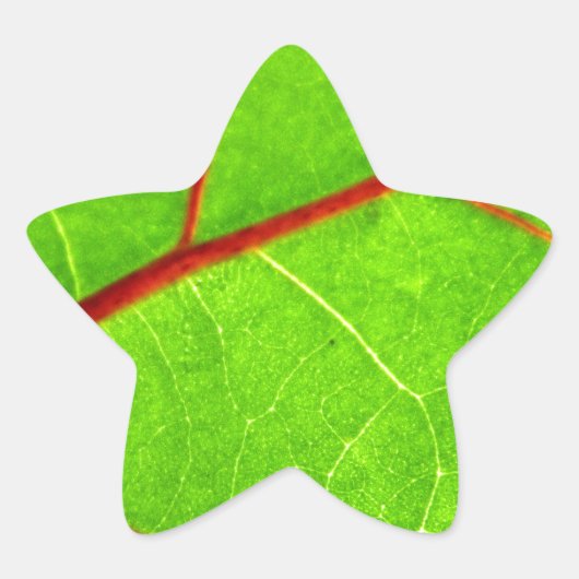 Thomas 1 Stern-Aufkleber (Vorderseite)