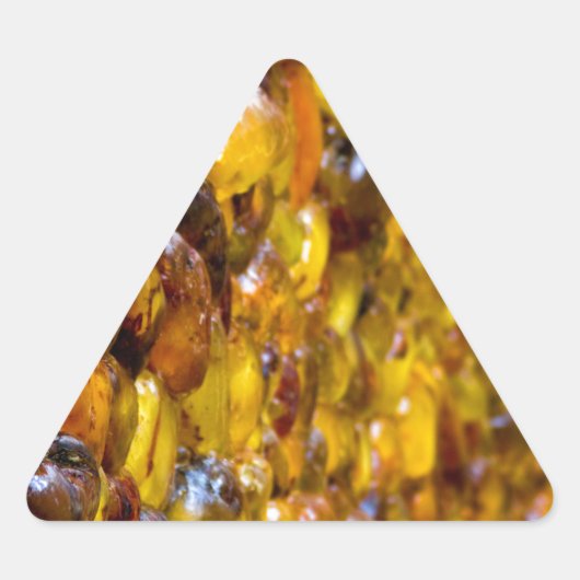 Thomas 2 dreieckiger aufkleber (Vorderseite)