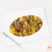 Thomas 2 ovaler aufkleber (Umschlag)