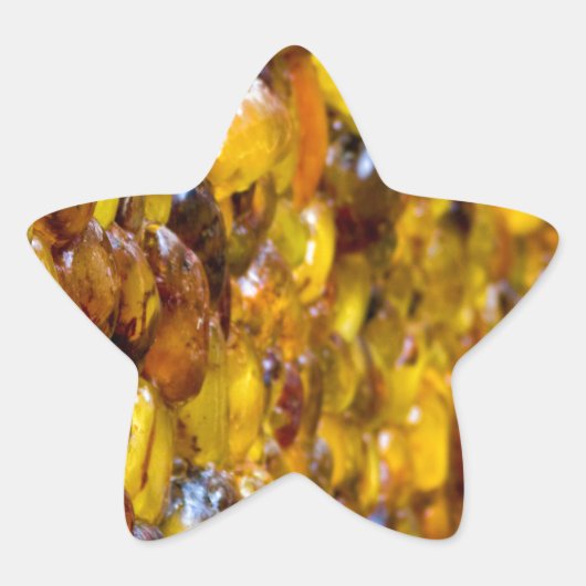 Thomas 2 Stern-Aufkleber (Vorderseite)