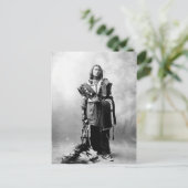 Thomas American Horse Postkarte (Stehend Vorderseite)