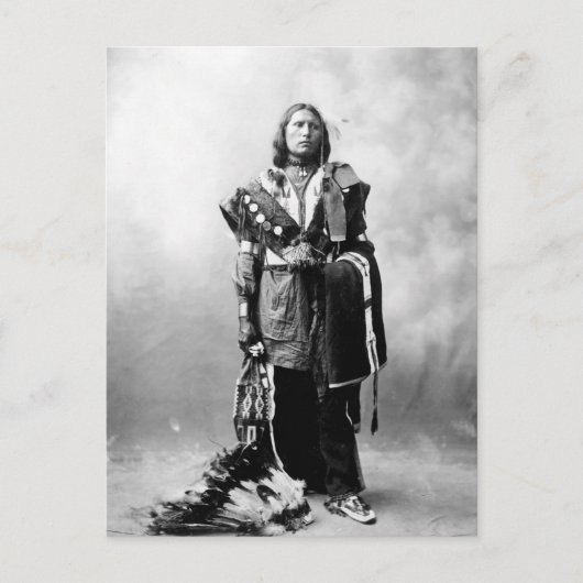 Thomas American Horse Postkarte (Vorderseite)