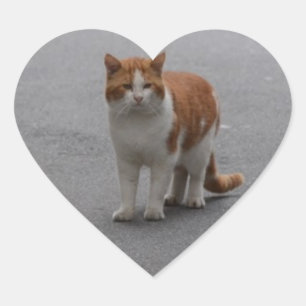 Thomas Ginger und White Cat Herz-Aufkleber