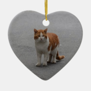 Thomas Ginger und White Cat Keramikornament