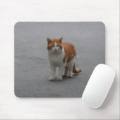 Thomas Ginger und White Cat Mousepad (Mit Mouse)