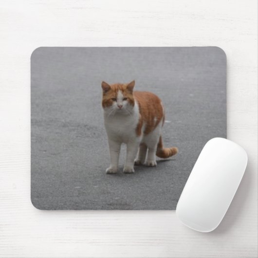 Thomas Ginger und White Cat Mousepad (Mit Mouse)