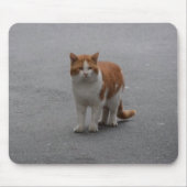 Thomas Ginger und White Cat Mousepad (Vorne)