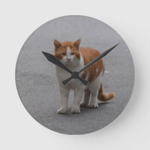 Thomas Ginger und White Cat Runde Wanduhr