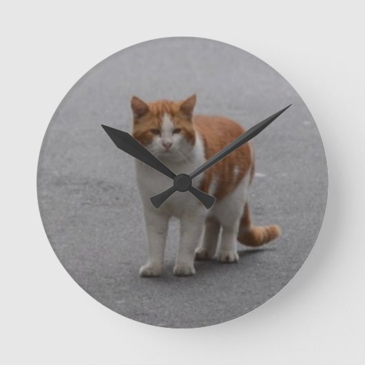 Thomas Ginger und White Cat Runde Wanduhr (Vorderseite)