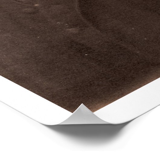 Thomas Hardy (1840-1928) (sepia-Foto) Poster (Ecke)