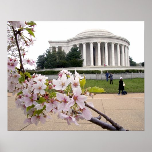 Thomas-Jefferson-Denkmal mit Kirschblüten Poster (Vorne)
