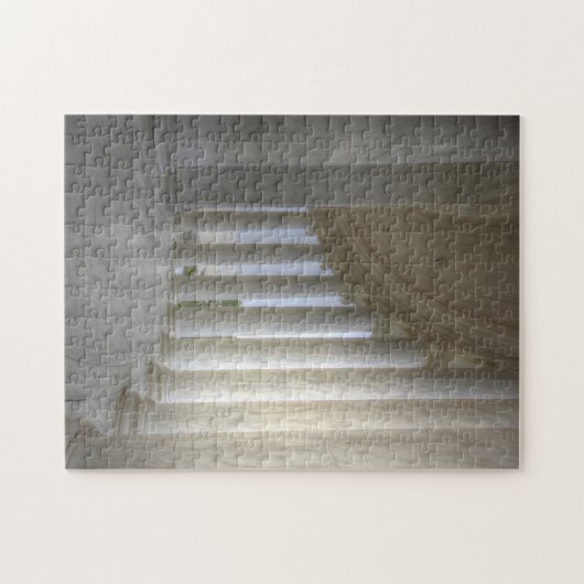 Thomas Jefferson Memorial Circular Colonnade Puzzle (Horizontal)