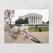Thomas Jefferson Memorial mit Kirschblüten Postkarte (Vorderseite)