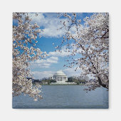 Thomas Jefferson Memorial with Cherry Blossoms Magnet (Vorne)