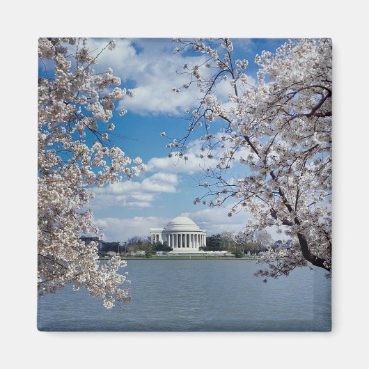 Thomas Jefferson Memorial with Cherry Blossoms Magnet (Vorne)