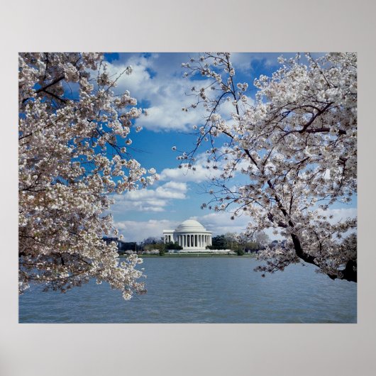 Thomas Jefferson Memorial with Cherry Blossoms Poster (Vorne)
