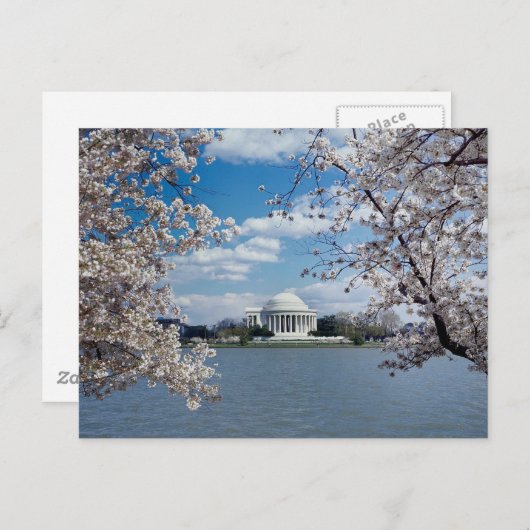 Thomas Jefferson Memorial with Cherry Blossoms Postkarte (Vorne/Hinten)
