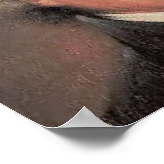 Thomas Jefferson Poster (Ecke)