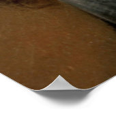 Thomas Jefferson zitiert Ehrlichkeit ist das erste Poster (Ecke)