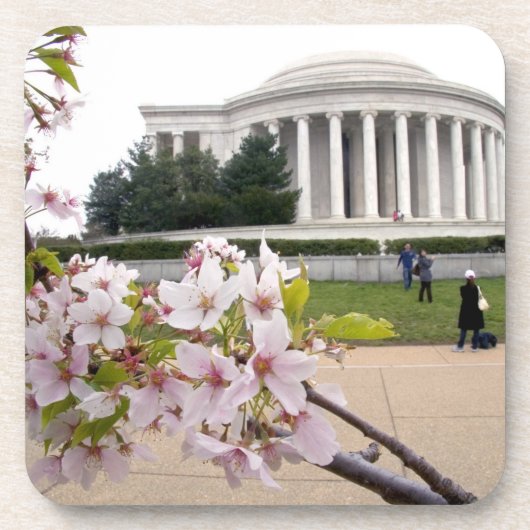 Thomas- Jeffersondenkmal mit Kirschblüten Untersetzer (Vorderseite)