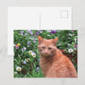 Thomas Leo Postcard Postkarte (Vorne/Hinten)