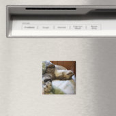 Thomas Relaxmagnet Magnet (In Situ (Geschirrspüler))