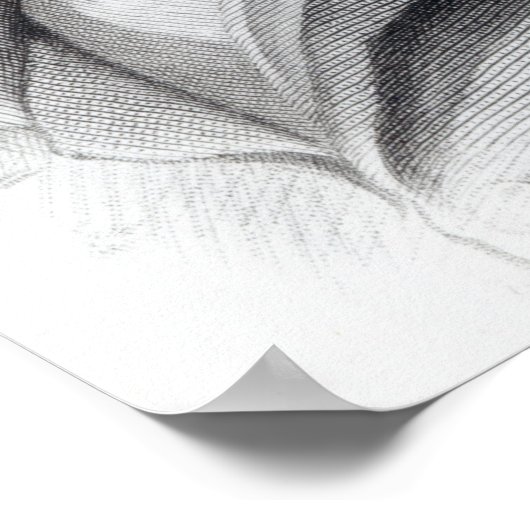 Thomas Telford, 1831 Poster (Ecke)