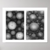 Thomas Wright's Universe Poster (Vorne)