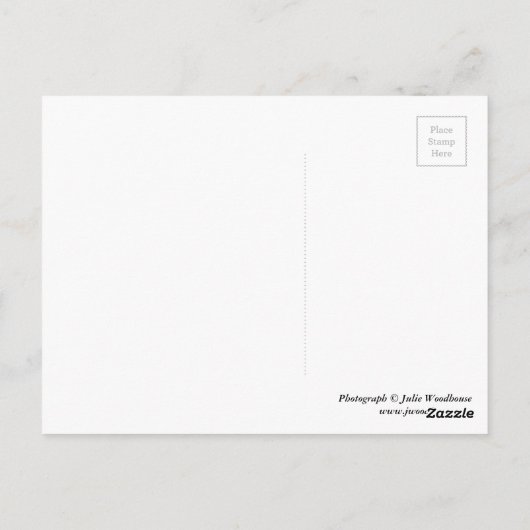 Thomaskirche, Leipzig Postkarte (Rückseite)