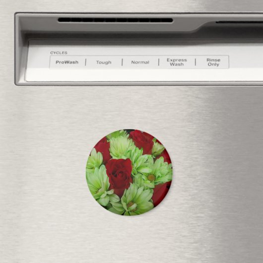 Thomasse Magnet (In Situ (Geschirrspüler))