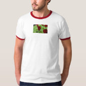Thomasse T-Shirt (Vorderseite)