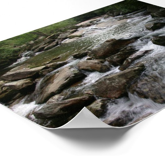 Thompson River Poster (Ecke)