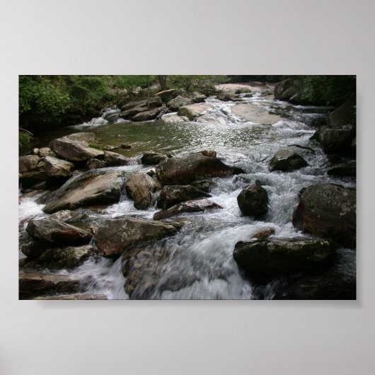 Thompson River Poster (Vorne)