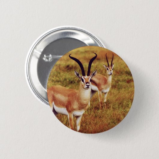 Thompsons Gazellensafariknöpfe u. -Abzeichen Button (Vorne & Hinten)