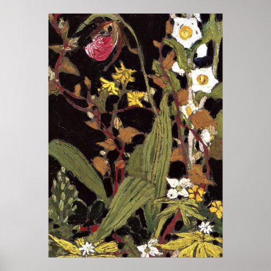 Thomson - Orchids, Algonquin Park Poster (Vorne)