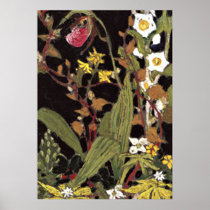 Thomson - Orchids, Algonquin Park Poster