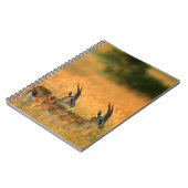 Thomson’s Gazelle (Gazella Thomsonii) At Dawn Notizblock (Linke Seite)