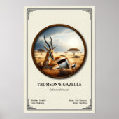 Thomsons Gazelle Zoologie-Serie Poster (Vorne)